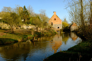 Réparation dégât des eaux Sarreguemines